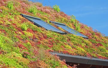 Swaffham Prior living roof systems