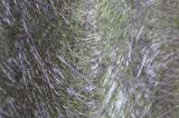 Swaffham Prior fibreglass roof work